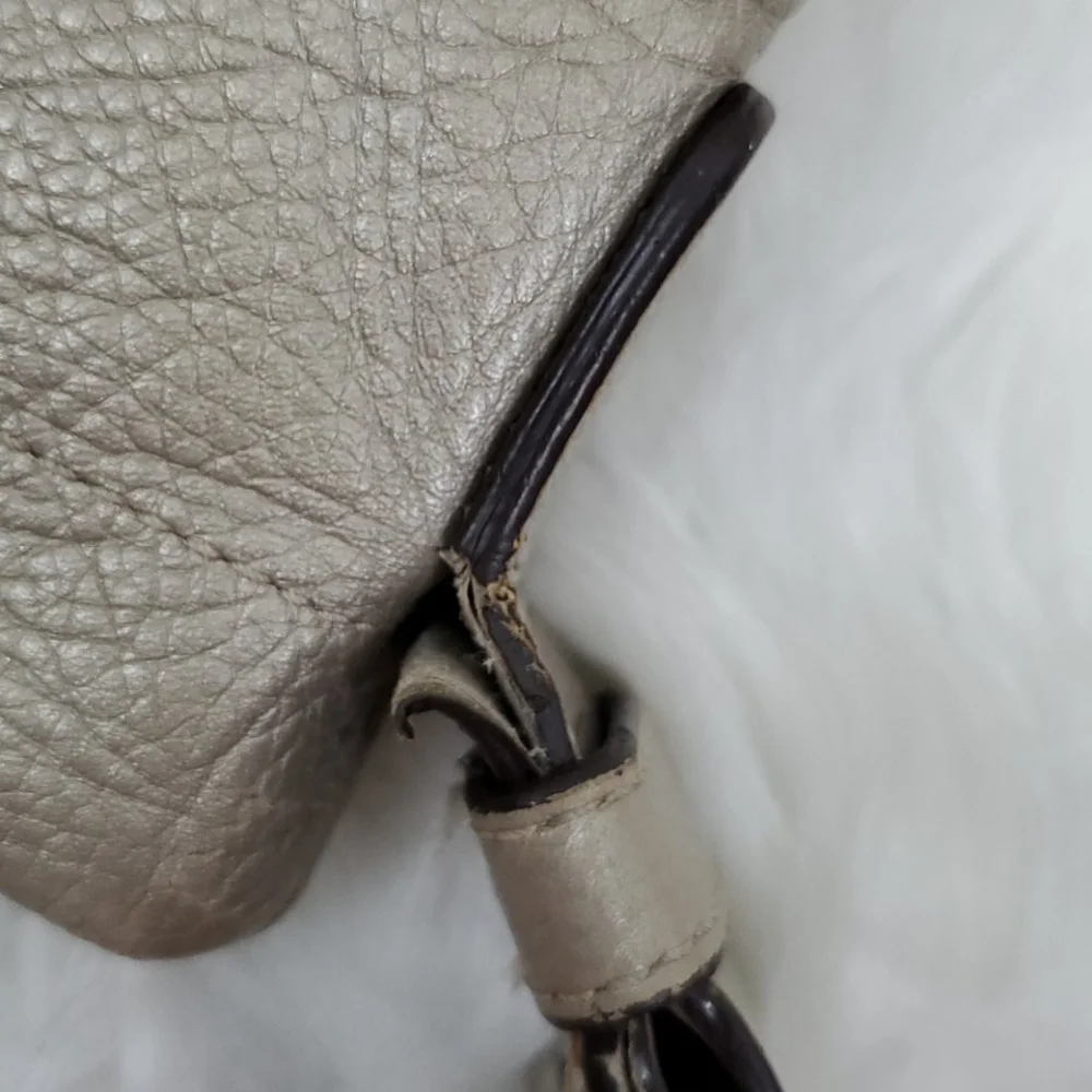 Coach metallic leather